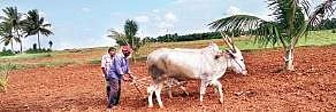 Organic farming is passé, zero is in
