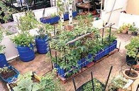 Get your gardening needs sorted at 'Oota From Your Thota' P Jawahar