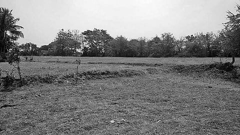 The mound near Niali from where pottery and animal bones were found | Express