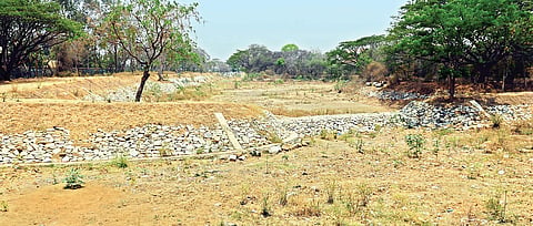NAgesh polali