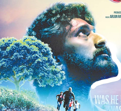Into the wild
