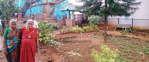 Senior citizens use the park for their morning walks