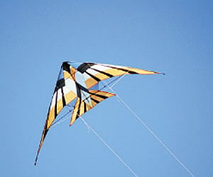 Image used for representational purpose.