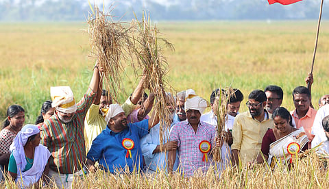 Kerala Government's ‘Onathinu Orumuram Pachakari’ project aims at reviving the state’s lost tradition of growing its own vegetables ( File | EPS)