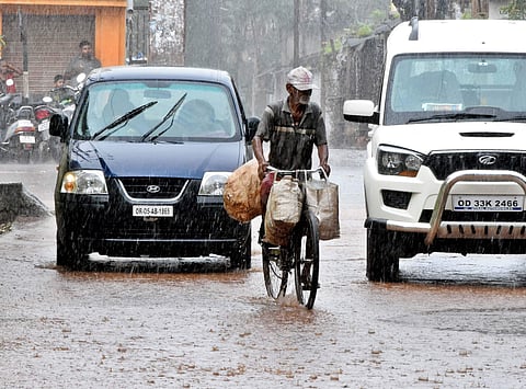 Scenes from monsoon in Odisha. | Express Photo Service