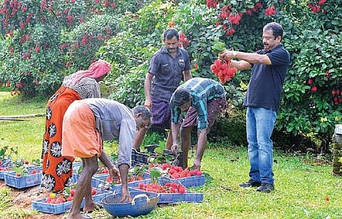 Enjoying fruits of success