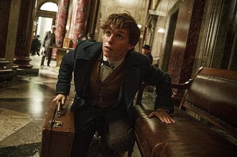 Eddie Redmayne in a scene from, Fantastic Beasts and Where to Find Them. (File Photo | AP)