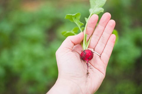 Now eat according to blood type to keep yourself healthy