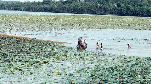 Boys bathing in Vellayani Lake Kaviyoor Santhosh