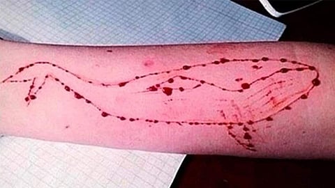 The Blue Whale Challenge