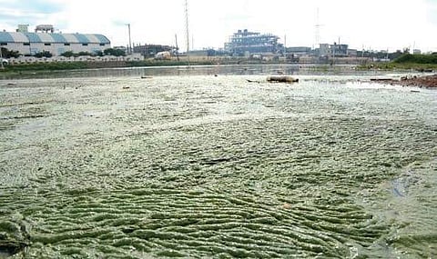 Tank water polluted with industrial chemicals in Pashamailaram Industial Area in Sangareddy | Express photo