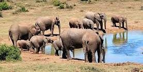 Centre seeks State plans on jumbo corridors