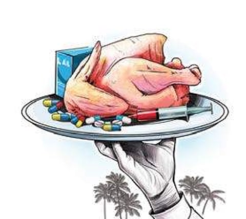 Centre for Science and Environment: Drug-resistant germs may spread to agriculture lands from poultry farms