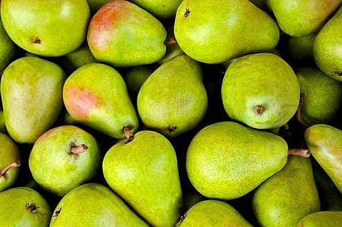 Image used for representational purpose