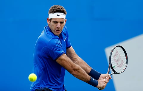 Juan Martin Del Potro (File | AP)