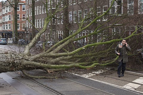 The Netherlands bore the brunt of the severe winter storms. (Photo | AP)