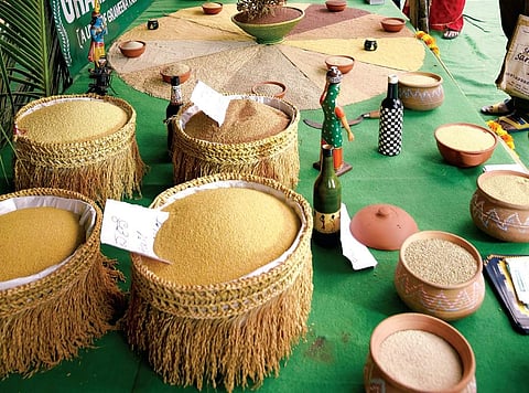 Millets image used for representation (File Photo)