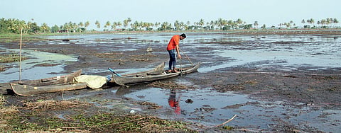 Methran Kayal field at Kumarakam (File | EPS)