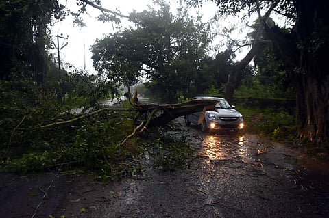 Vehicular communication came to a grinding halt as roads connecting Gopalpur and other stretches of Ganjam and Gajapati due to felling of trees (Photo | EPS)