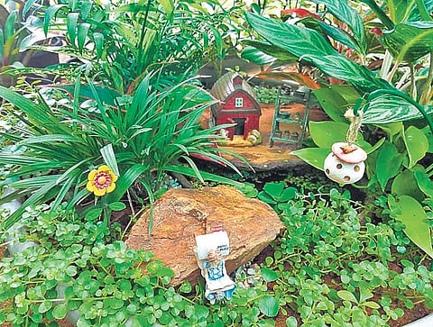 Sorrel Gardens, a farm venture started by Gohulabalan and his wife Padmini, five years ago