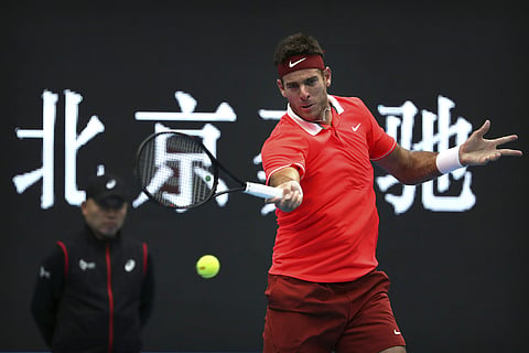 Juan Martin Del Potro of Argentina (Photo | File/AP)