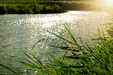 Image used for representational purpose only.
