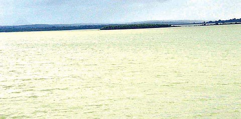 Agara Lake is one of the few lakes to have survived in the city