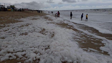 Foam fills Chennai's coast; discharge of untreated sewage from Adayar river blamed