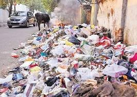 Thiruvananthapuram Corporation has come up with a proposal to set up waste management plants free of cost for institutions that generate waste on a large scale (File photo | EPS)