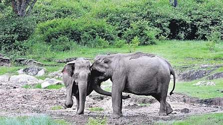 Image used for representational purpose only. (Photo: File / EPS)