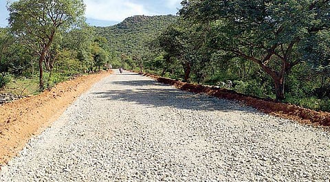 Road widening work being carried out Inside MM Hills Wildlife Sanctuary | express