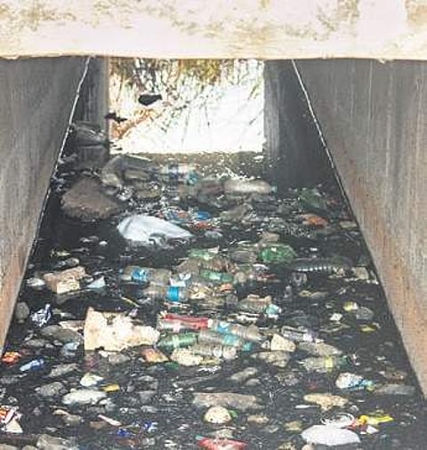 Kommaghatta Lake dying as pollution goes unchecked