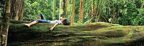 Nature has a healing effect on all and sundry, and the prescription is to just soak in the abundance of air, water, and forest