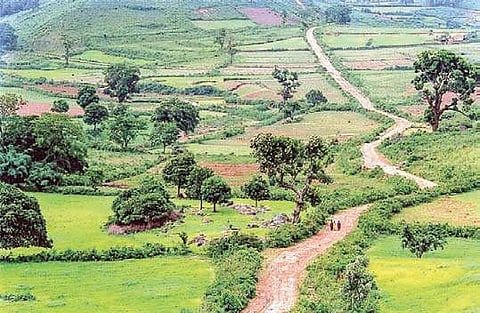 Araku to ring in New Year with blanket ban on polythene bags