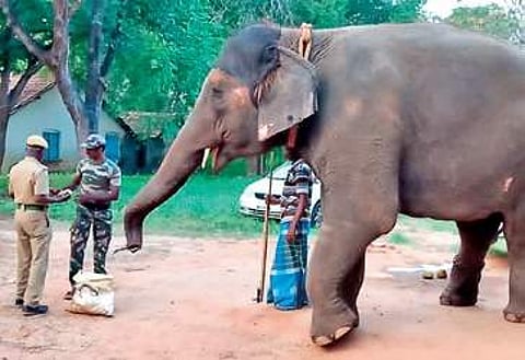Rohini at ATR where she will be under observation for a week | Express