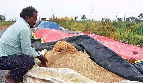 A farmer dries paddy crop wrapped in tarpaulin sheets at Nunna | RVK Rao