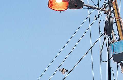 BBMP has included the initiative under Smart City project