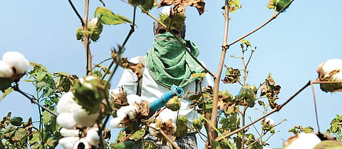 Representational Image