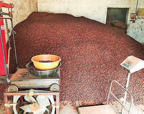 Areca nut seized by the Commercial Tax department officials at Antharasanahalli Industrial Area in Tumakuru.