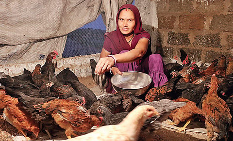 The project has impacted women positively. With their extra income, they have a bigger say in their household matters and can spend on educating their children