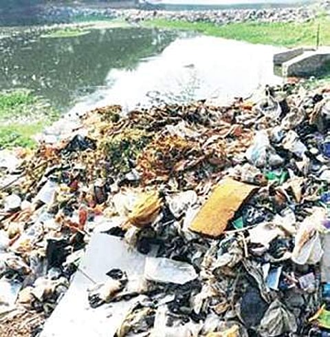 Water quality of lakes goes from bad to worse due to deficient monsoon this year
