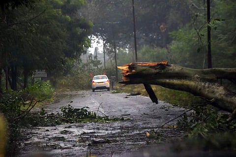 Cyclone Titli (File | EPS)