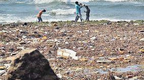 Kochi Beach