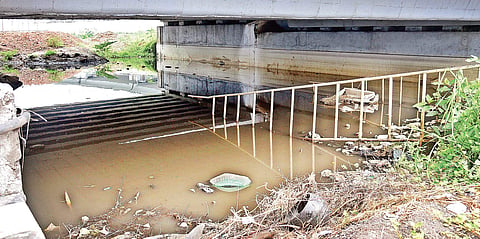 The passage under Kathipara Flyover has stagnated water for over a year Martin Louis