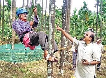 Prof K C Shashidhar instructs a tree climber at Vittla near Mangaluru on Wednesday | Express