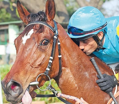 Jockey P Trevor kissing victorious horse Kangara who won the Bangalore Derby Cup on Sunday Nagesh Polali