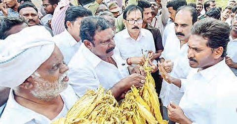 YSRC president YS Jaganmohan Reddy during his padayatra in Prakasam district on Saturday | Express