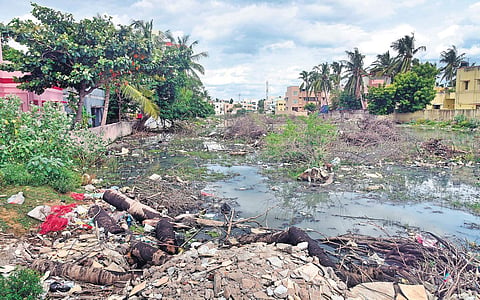 Stagnant sewage at the HR&CE land in Selaiyur- Chitlapakkam border | Martin Louis