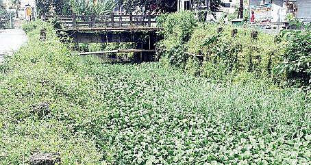 Weed choked Perandoor canal near Pullepady Express