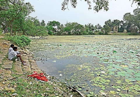 The historic Kanniammankoil pond in Manimangalam is at present contaminated with agricultural and domestic pollutants | Martin Louis